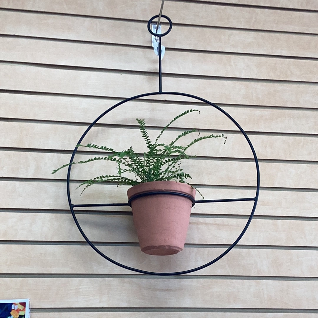 Hanging Circular Metal Planter with Terracotta Planter.