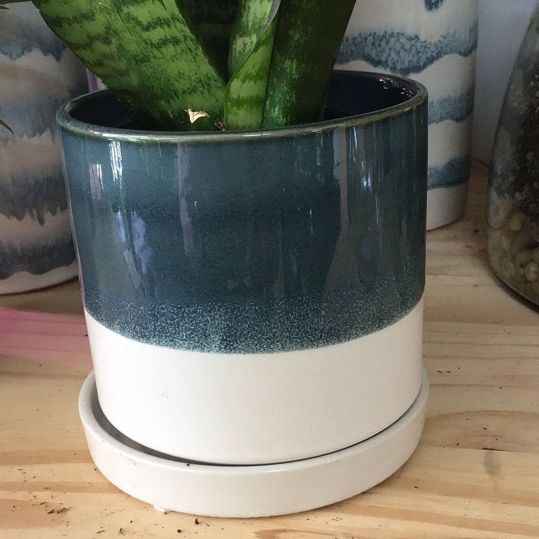 Minute 5" Planter