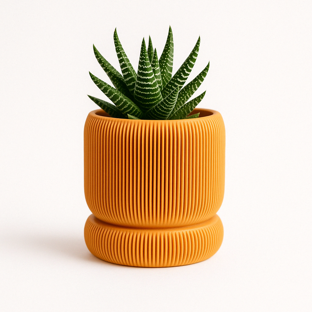 WellRooted Lizzo