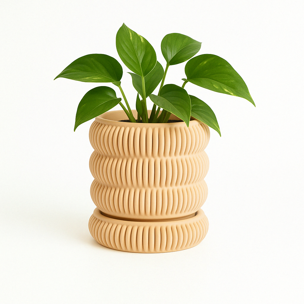 WellRooted Marilyn